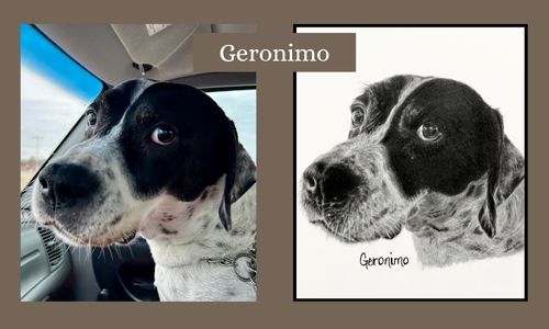 Dog named Geronimo inside a vehicle with a side view mirror reflection and a black and white portrait of the dog.