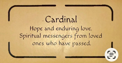 5x7 "Cardinal”