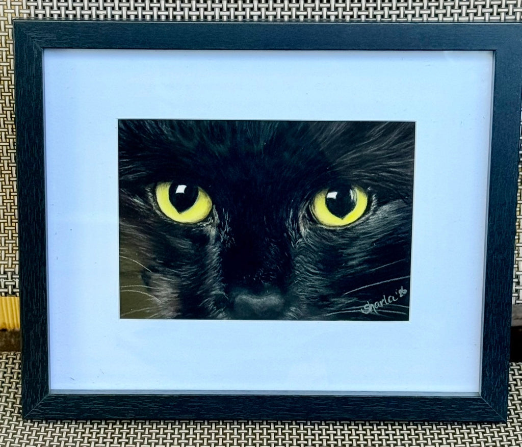 5x7 "Black Cat”