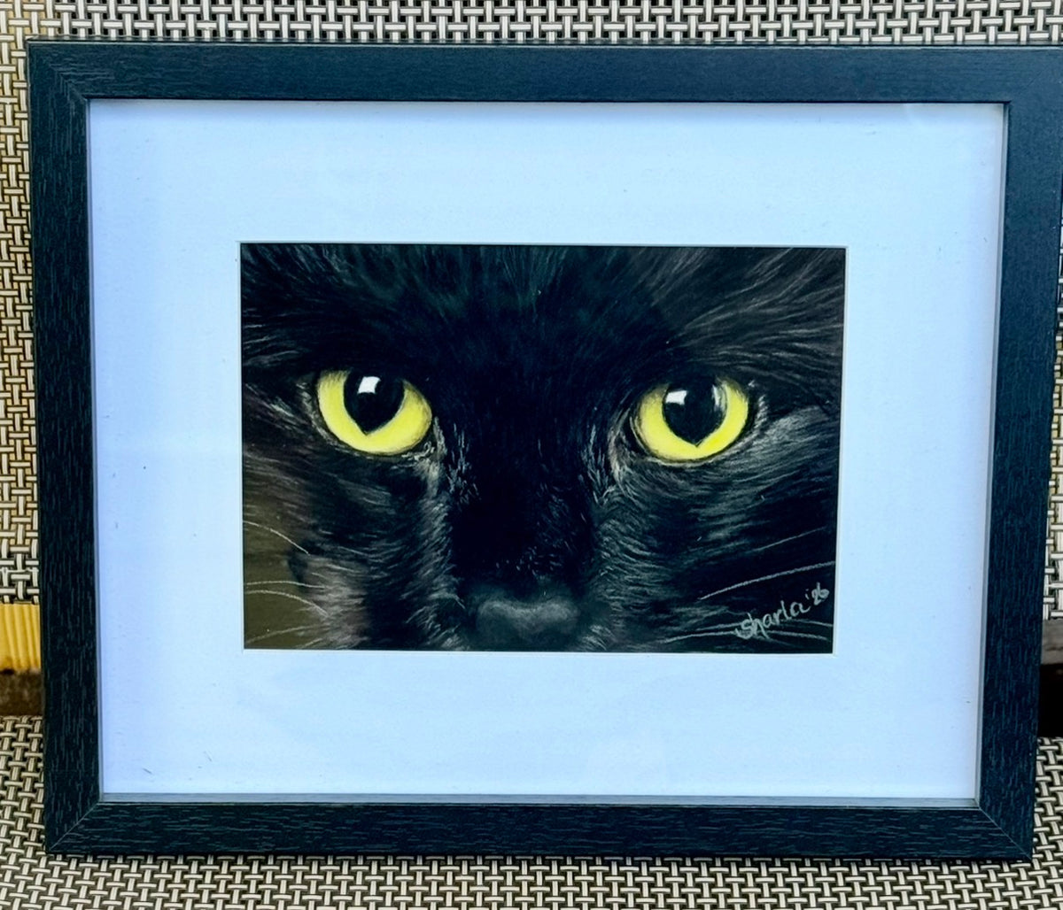 5x7 "Black Cat”