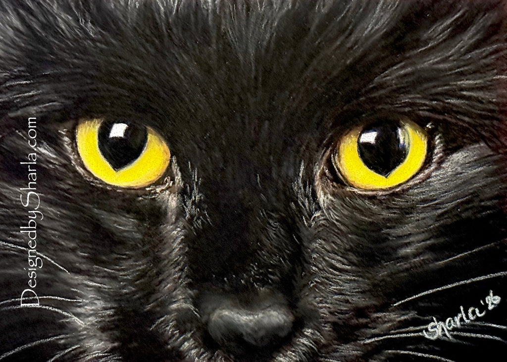5x7 "Black Cat”