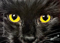 5x7 "Black Cat”