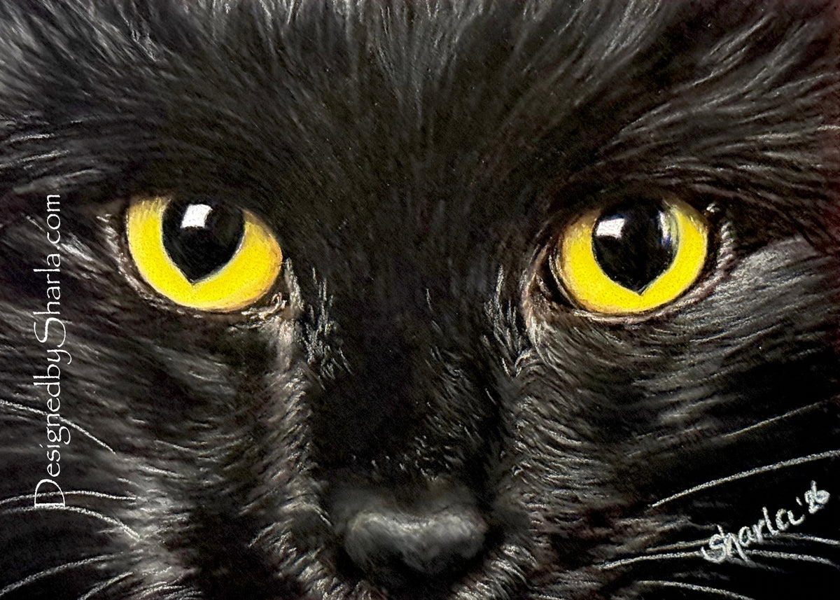 5x7 "Black Cat”