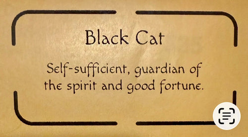 5x7 "Black Cat”