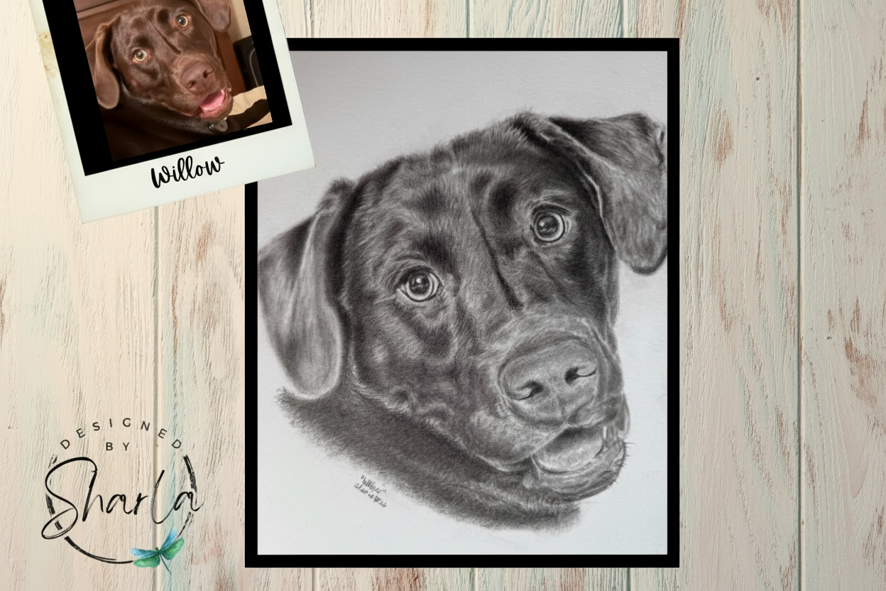 Pet Portrait from Photo, Custom Graphite Drawing, Hand-Drawn Memorial Art, Gifts for Pet Parents