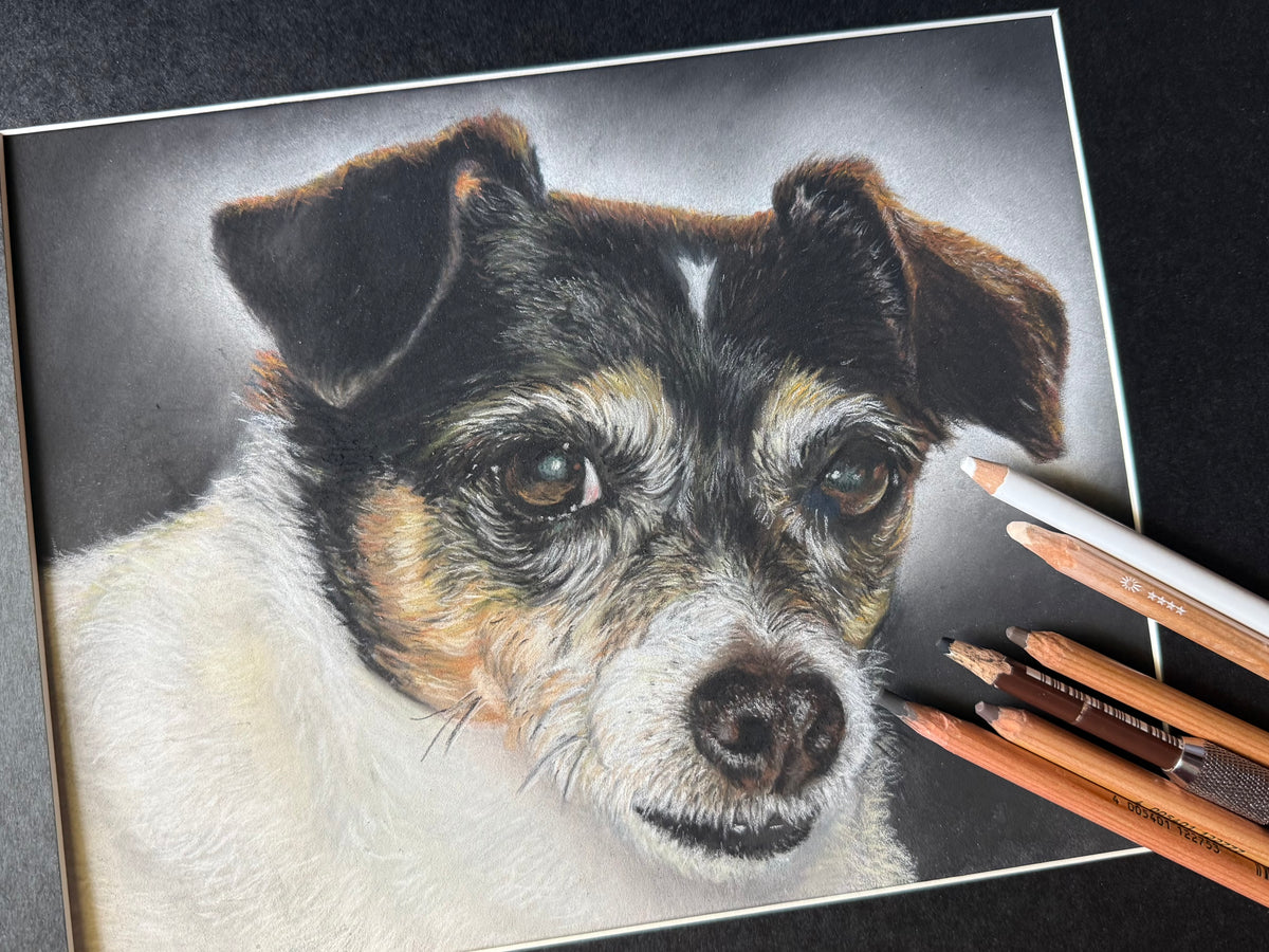 Hand-Drawn Pastel Pet Portraits