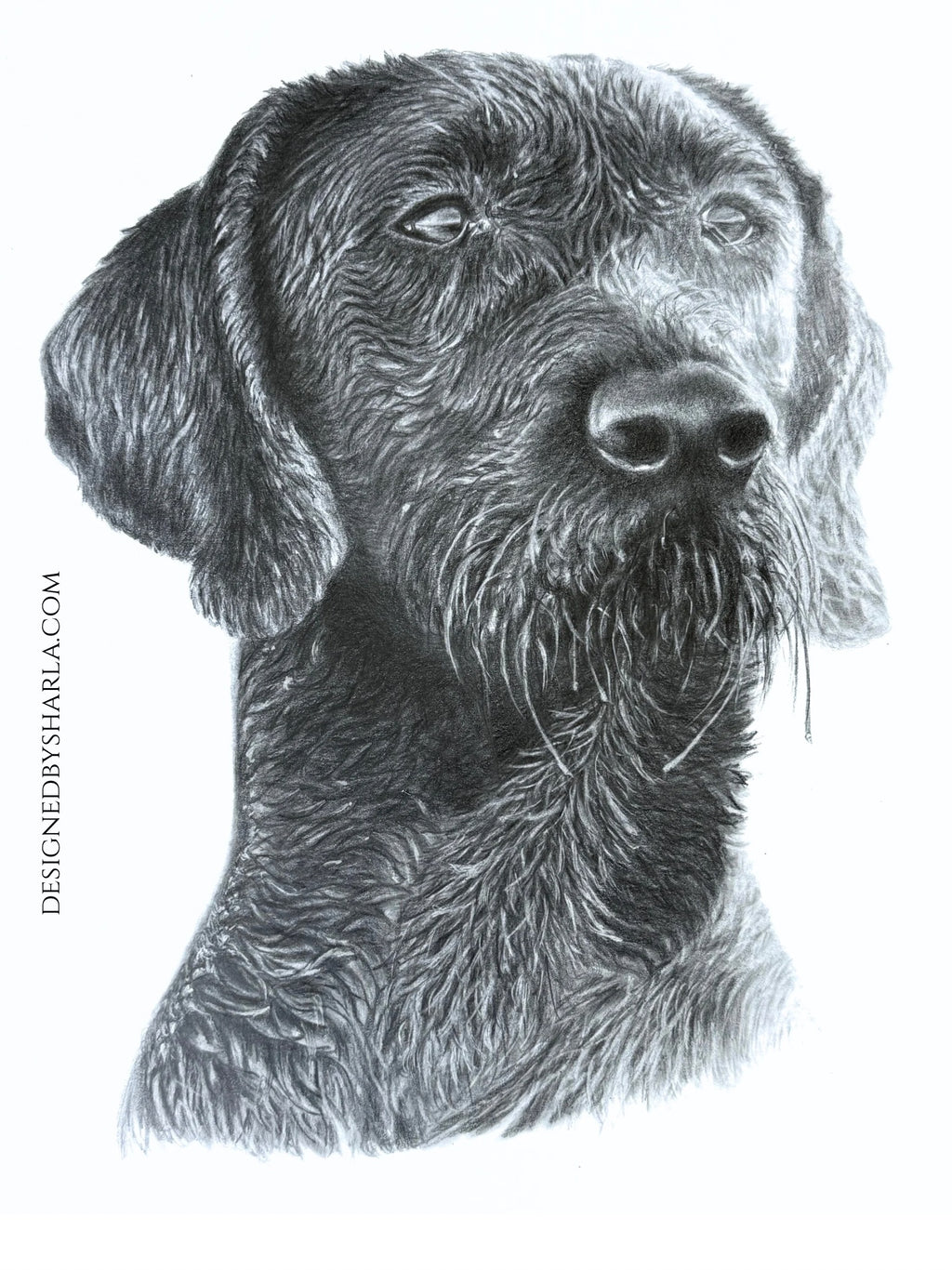 Detailed black and white illustration of a dog's face