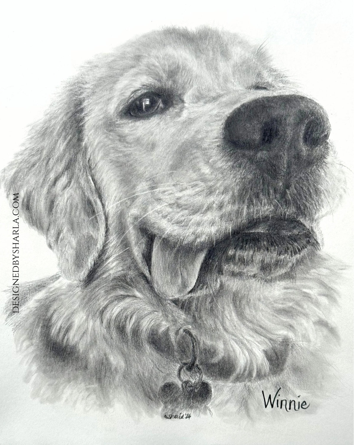 Detailed pencil drawing of a dog with 'Winnie' signed on a white background
