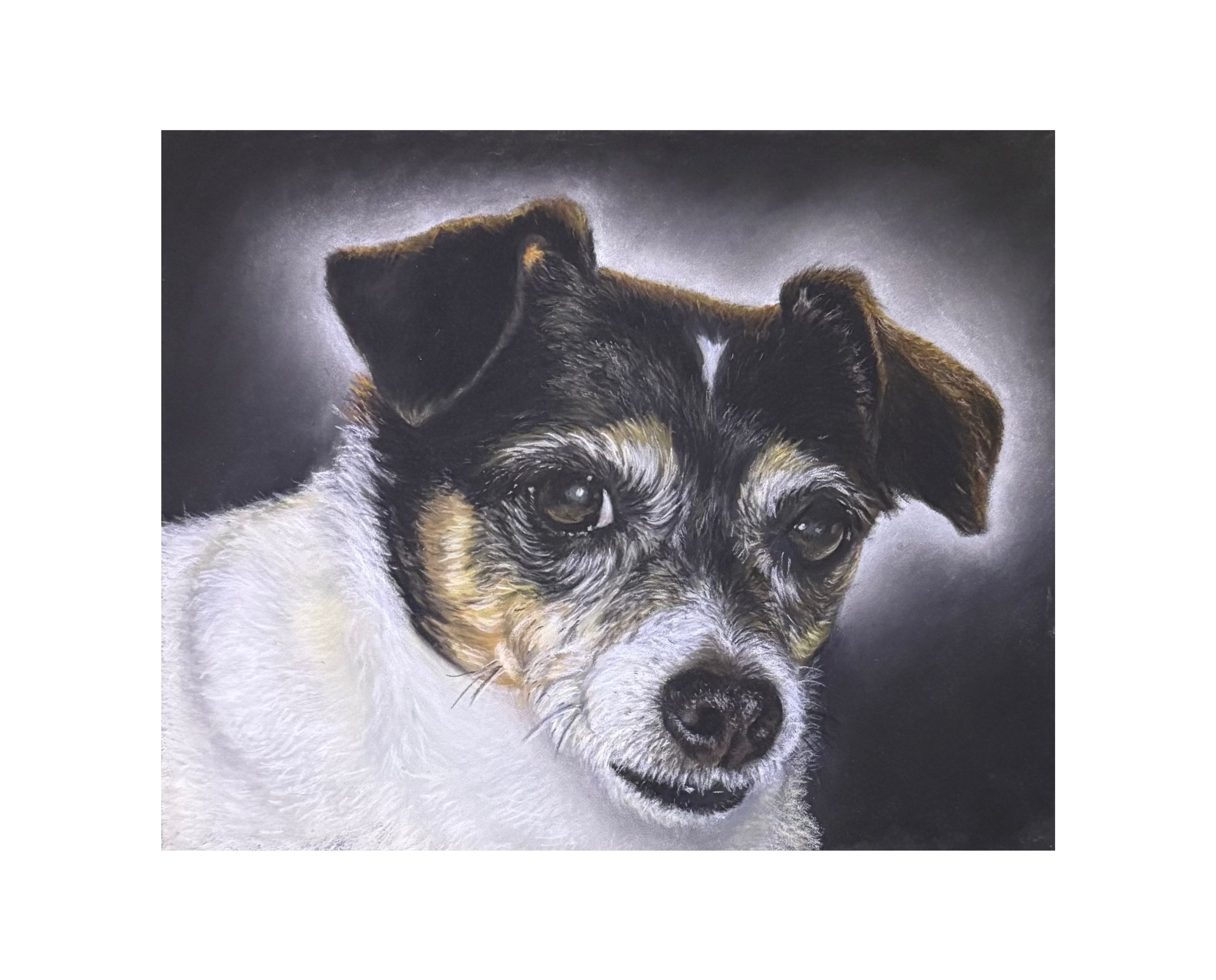 Lifelike Hand-Drawn Pastel Pet Portraits