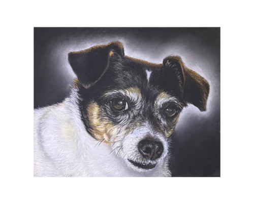 Lifelike Hand-Drawn Pastel Pet Portraits