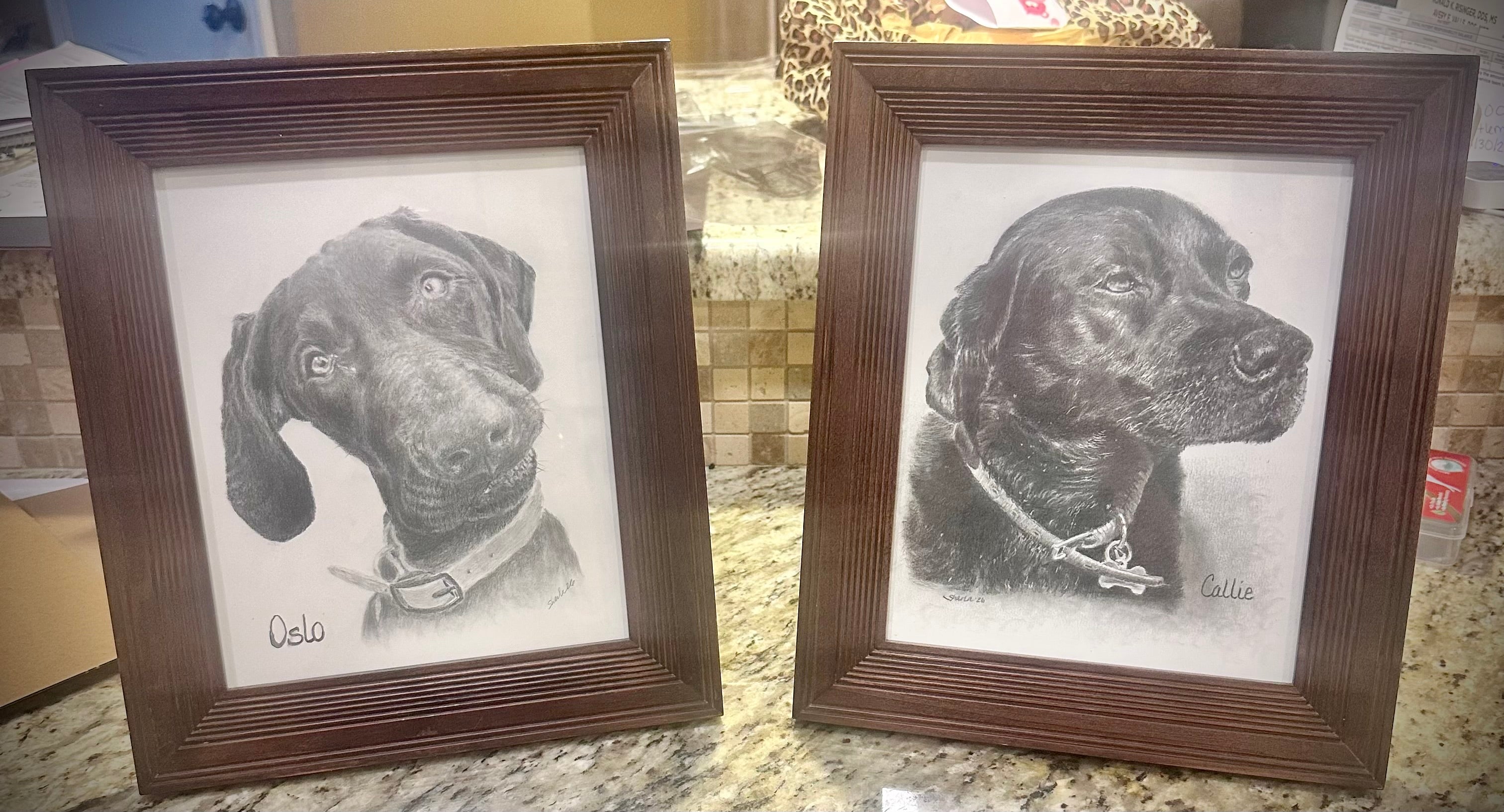 Graphite pencil pet portraits of two framed dogs. Archival quality dog memorial portrait. Original pet tribute art. Handmade pet art from photo.