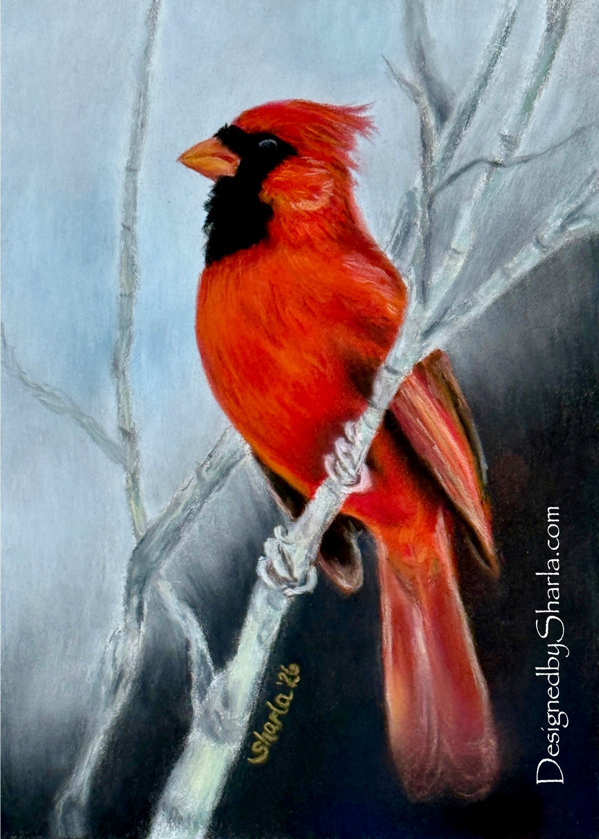 5x7 "Cardinal”