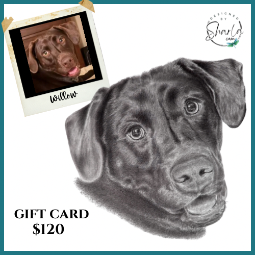 Gift card of a realistic graphite drawing of a dog and a reference photo for comparison