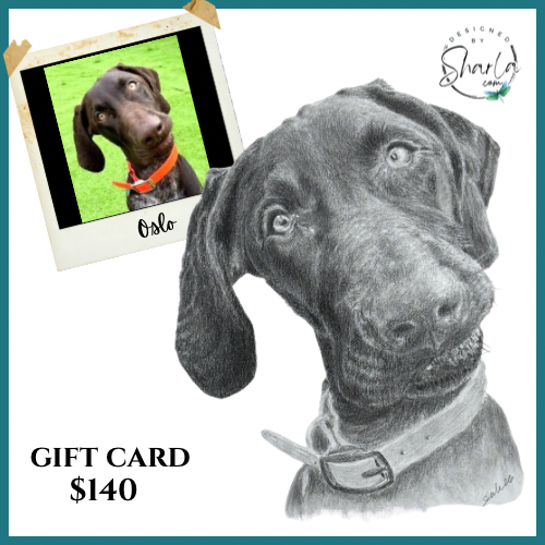 Gift card of a realistic graphite drawing of a dog and a reference photo for comparison