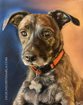 Detailed painting of a dog named Gracie with an orange collar on a gradient background