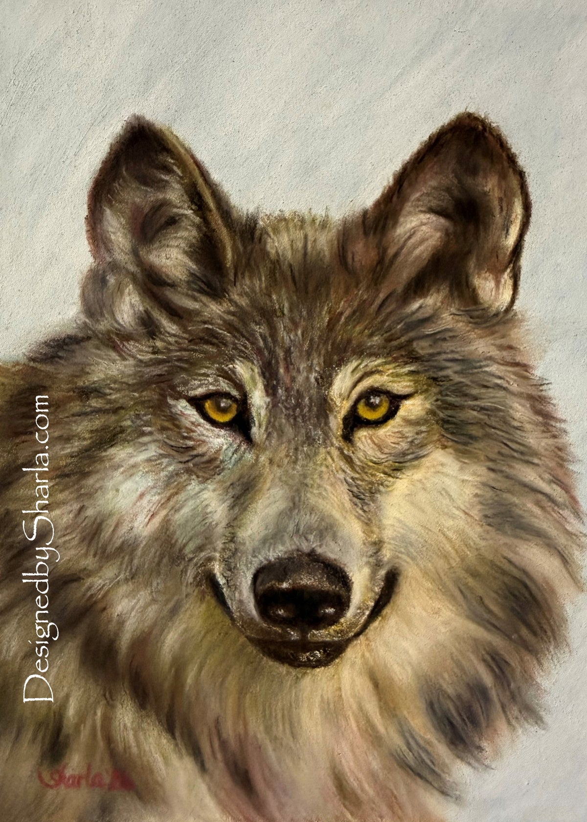 5x7 "Wolf"