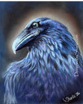 5x7 "Smirky Raven"