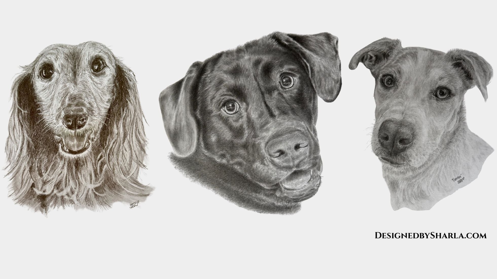 Three pencil drawings of dog heads on a white background, with 'DESIGNEDBYSHARLA.COM' text