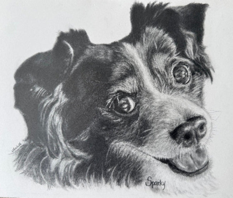 Detailed pencil drawing of a dog's face with 'Sparky' signature.